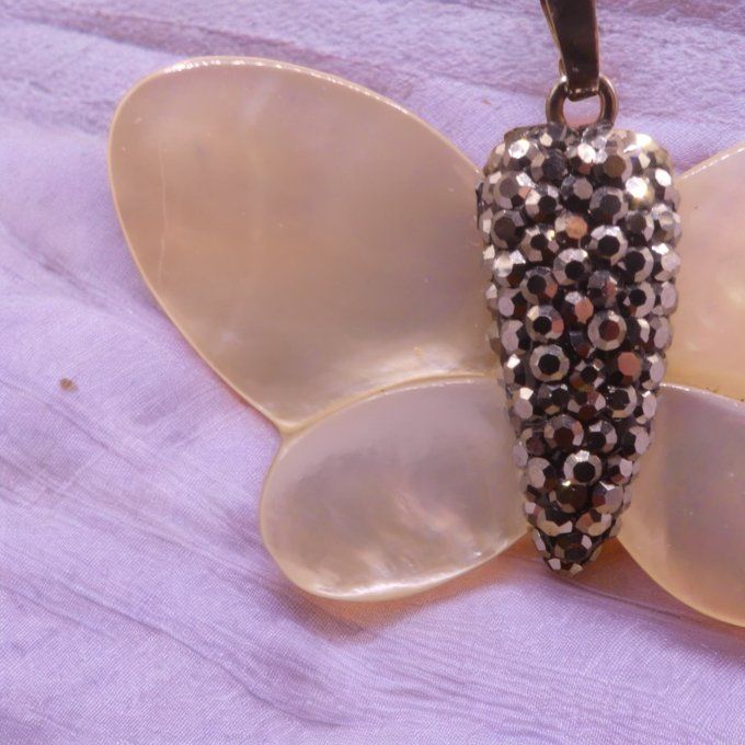 Nacre Papillon