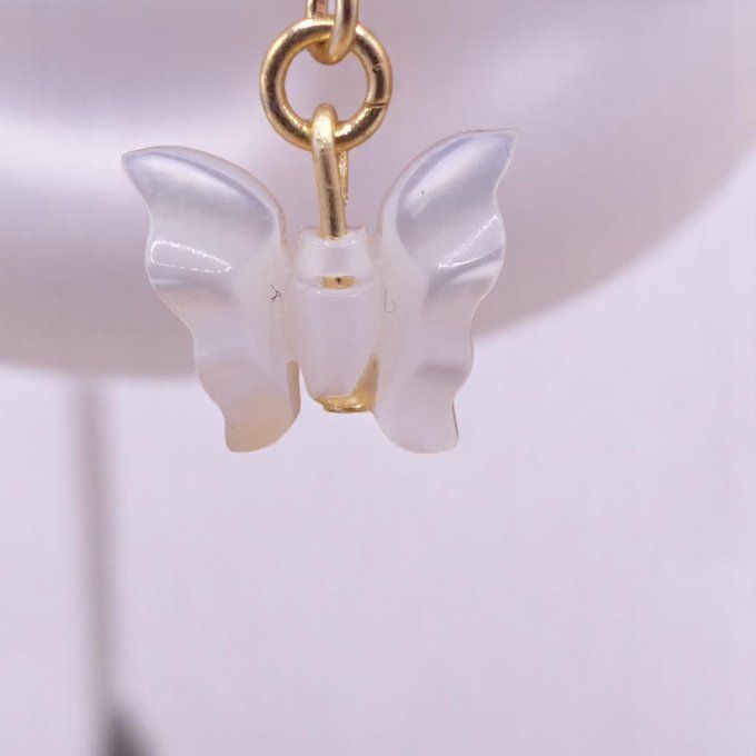 Nacre Papillon