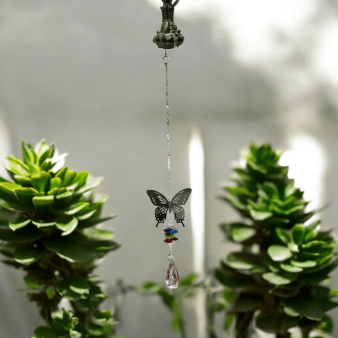 Attrape Soleil Papillon