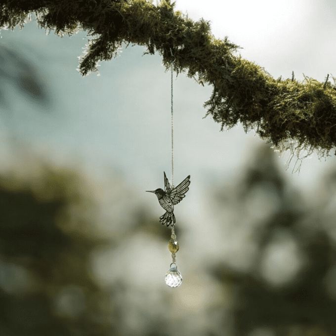 Attrape Soleil Oiseau